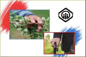 مستمری قابل پرداخت به بازماندگان